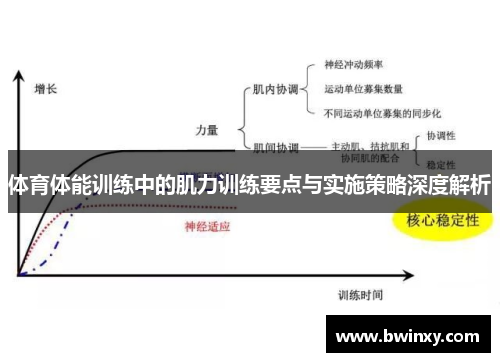 体育体能训练中的肌力训练要点与实施策略深度解析