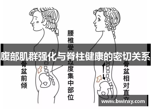 腹部肌群强化与脊柱健康的密切关系